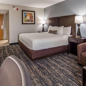 King Room Roll Shower Non-Smoking or Disability Access